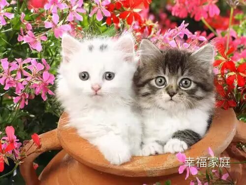 用户封面